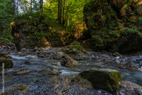 Wie im Urwald: der Bach Alvier schlängelt sich durch das enge Tal zwischen Steinen und Felsblöcken hindurch, an steilen Abhängen mit Gebüsch und Bäumen bewachsen. Die Sonne beleuchtet die Vegetation