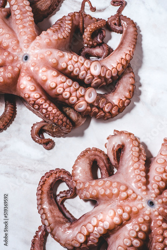 Fresh octopus on a white marble background, fresh seafood