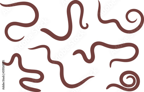 Leech silhouette. Isolated leech on white background