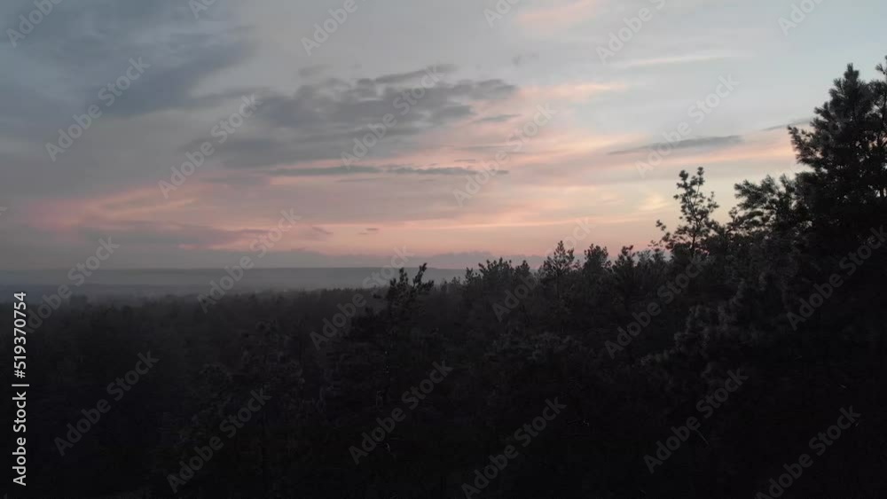 Forest park in the city. Sunset. Drone shot from above. Slow camera up. Little fog. High-rise buildings. . Tall trees. Forest park in the city. Sunset. Drone shot from above. Slow camera up. Little fog. High-rise buildings. . Tall trees.