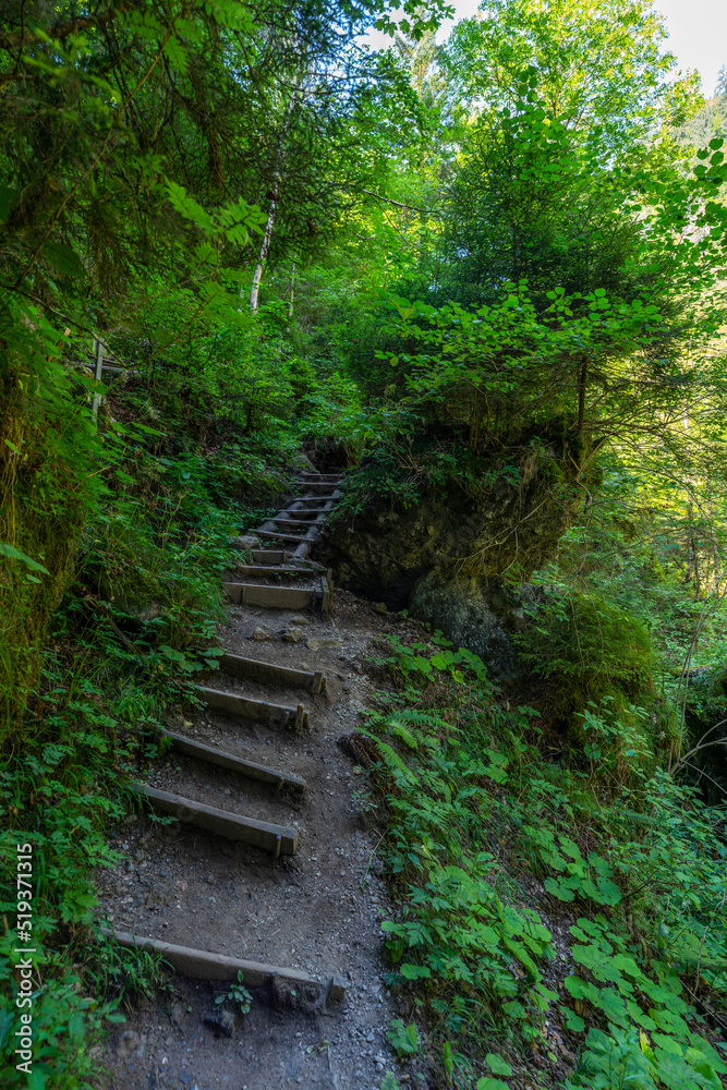 Weg durch den Wald, Fußweg zwischen Bäumen in einem Mischwald. Bäume stehen auf bewachsenen Felsen im Märchenland. wunderschöne Bürserschlucht mit zauberhaften Plätzen, lichtdurchflutet Weg durch den Wald, Fußweg zwischen Bäumen in einem Mischwald. Bäume stehen auf bewachsenen Felsen im Märchenland. wunderschöne Bürserschlucht mit zauberhaften Plätzen, lichtdurchflutet