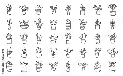 Plants icons set outline vector. Leaf growth