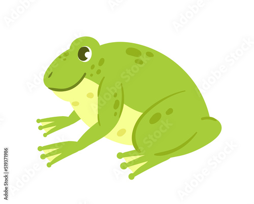 Wild lake green frog. Aquatic fauna, water animal, amphibian leaping vector illustration