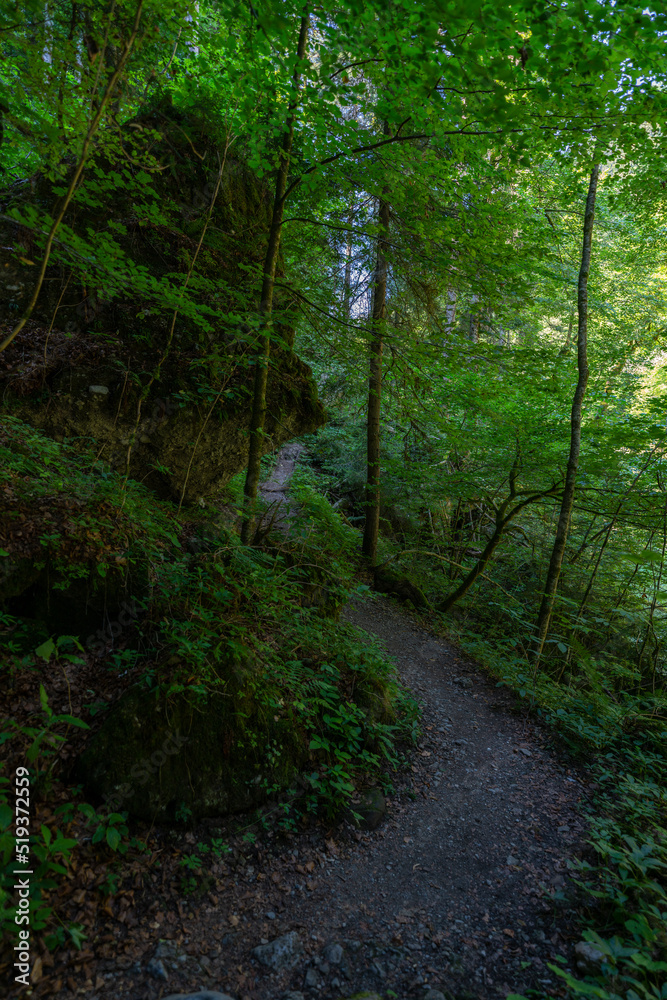 Weg durch den Wald, Fußweg zwischen Bäumen in einem Mischwald. Bäume stehen auf bewachsenen Felsen im Märchenland. wunderschöne Bürserschlucht mit zauberhaften Plätzen, lichtdurchflutet