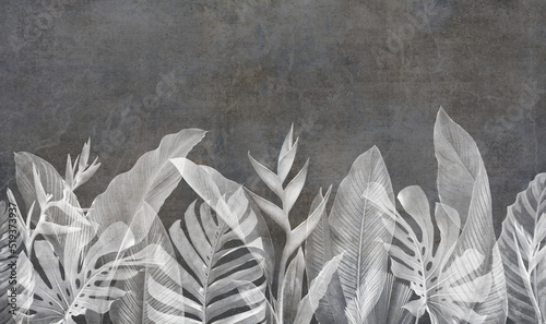 Fototapeta samoprzylepna z tropikalnymi liśćmi i roślinami na betonowym tle. 