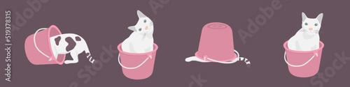 four fat cat confused in Bucket background Pink