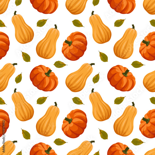 Pumpkins and squash leaf seamless pattern in cartoon style. Pumpkin in different colors. Thanksgiving background, harvest, halloween