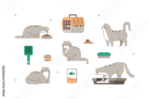 Domestic cat illustration set. Cat character eating, using litter box, sleeping and playing. Different sort of animal food, toys, grooming and cage items for pet care and hygiene. Vector illustration.