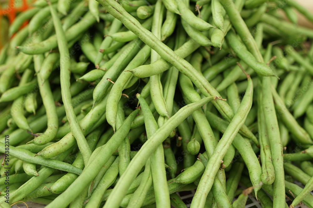 Healthy and fresh green beans in the morning are sold in the market. green and fresh vegetable background Healthy and fresh green beans in the morning are sold in the market. green and fresh vegetable background