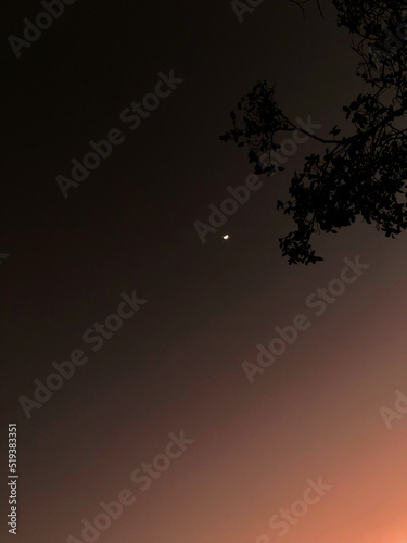 silhouette of the moon