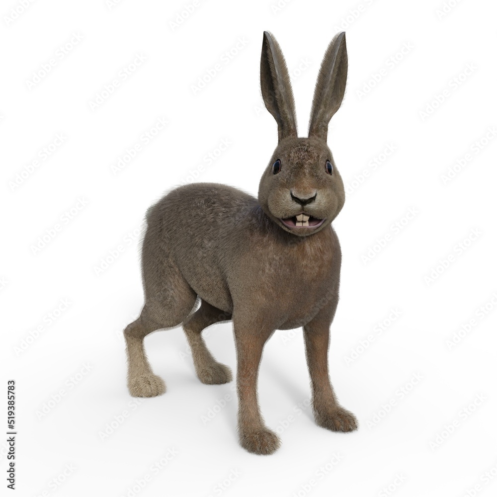 Obraz premium 3d-illustration of an isolated rabbit animal pet standing