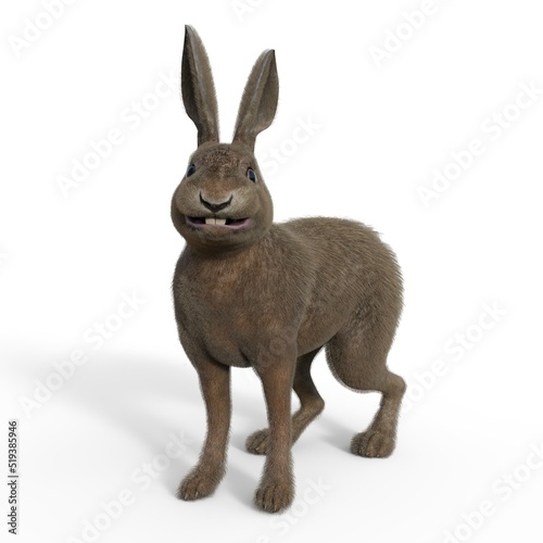 3d-illustration of an isolated rabbit watching animal pet standing © Ralf Kraft