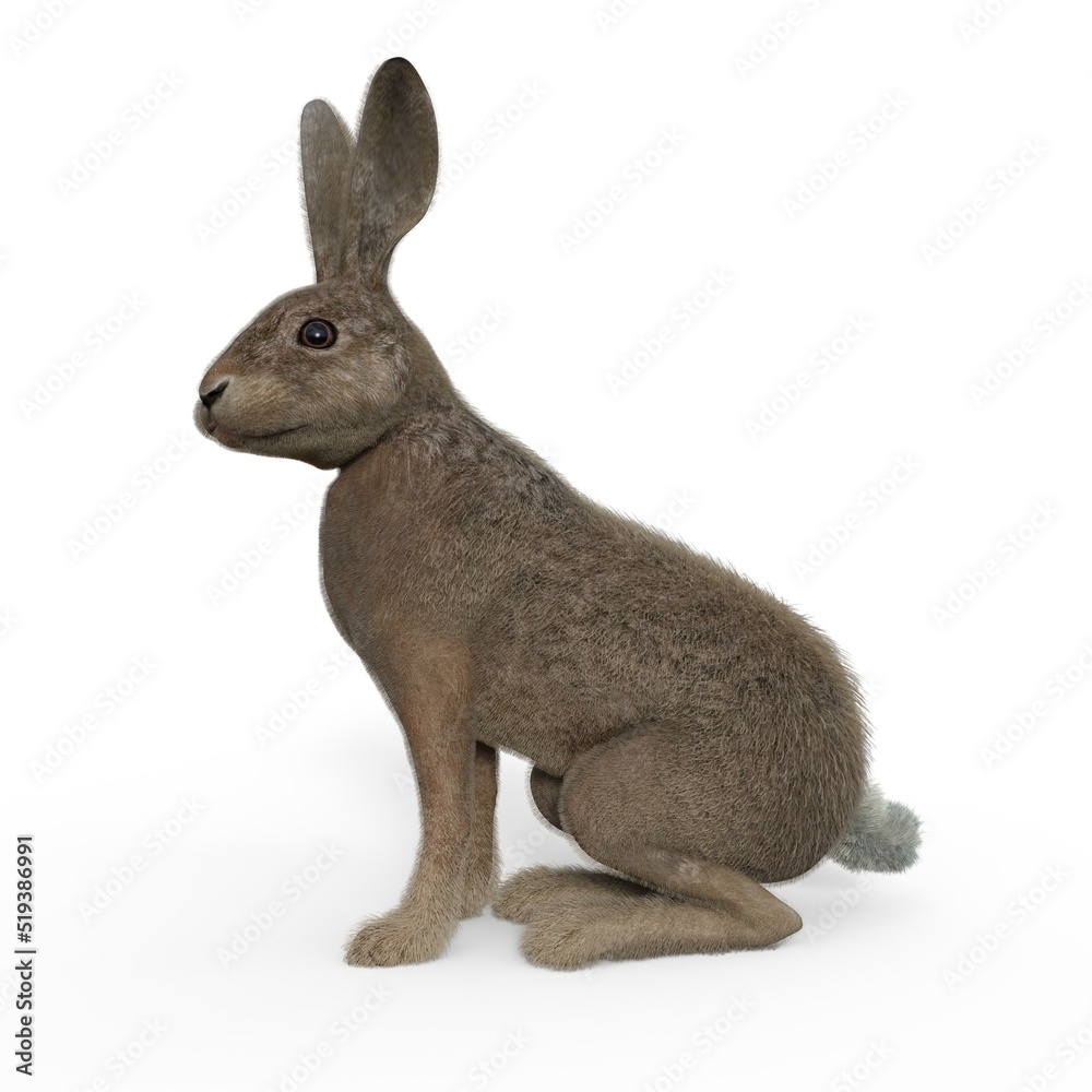 Obraz premium 3d-illustration of an isolated sitting rabbit animal pet