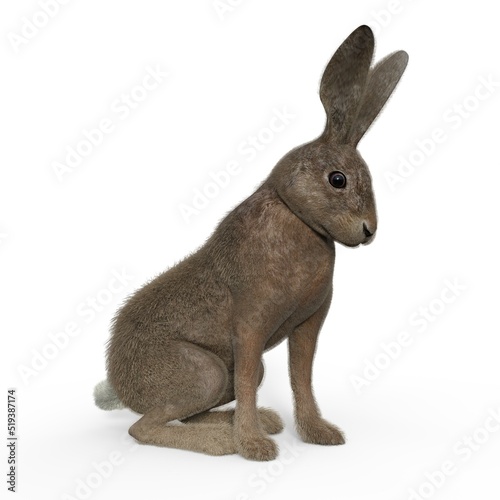 3d-illustration of an isolated sitting rabbit animal pet © Ralf Kraft