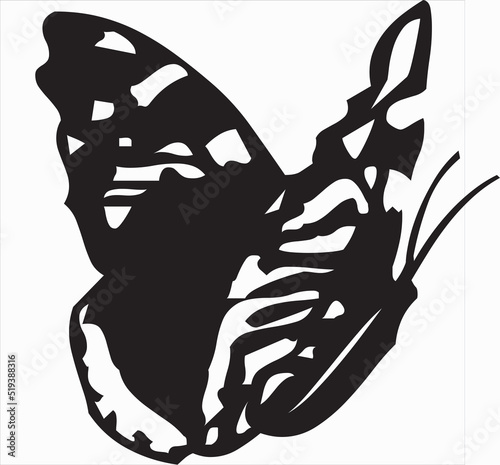 Vector, Image of silhouette butterfly icon, black and white color, transparent background

