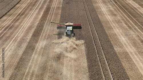 Aerial view of grain harvest in Brandenburg. Germany