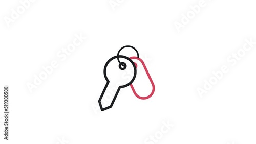 Animated linear bunch of keys. Keys and passwords. Security and safety concept icons. 