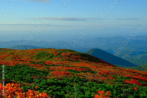 栗駒山の紅葉