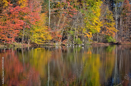 autumn landscape with river