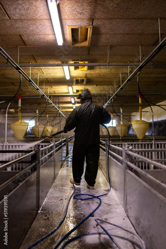 Fotografie A farm worker in a special waterproof gray suit washes iron pig corrals with a p