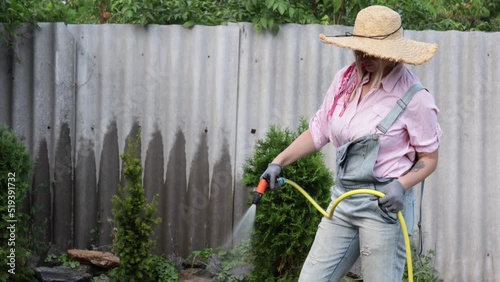 A young adult woman wateres a vegetable garden with a garden hose outside the house. Beautiful gardener girl take care of the garden. Backyard Plant Care photo