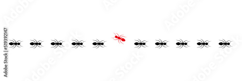 Ant colony trail. One ant changing direction. Think differently concept. Vector isolated on white. © Віталій Баріда