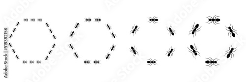 Ant hexagonal frame trail set. Worker ants colony line route teamwork. Vector isolated on white.