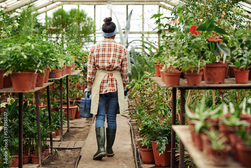 Back view long shot of unrecognizable woman working in modern greenhouse carrying watering can