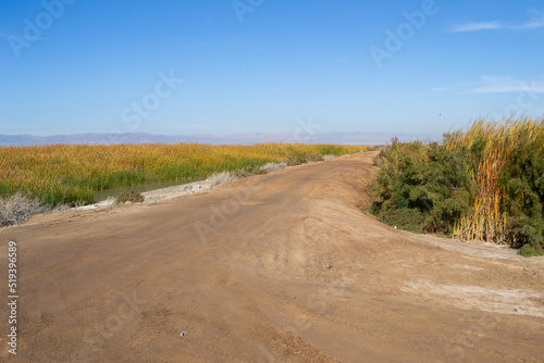 Grasslands dirt road in Palm Desert California
