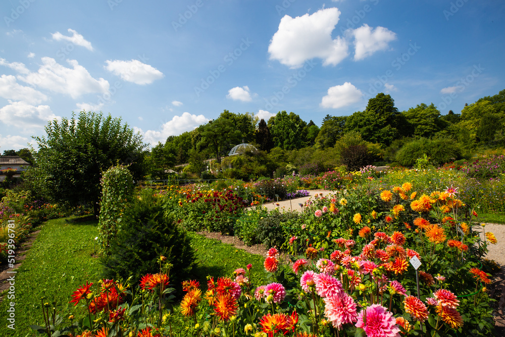 botanical garden in munich, blue sky, landscape botanical garden in munich, blue sky, landscape
