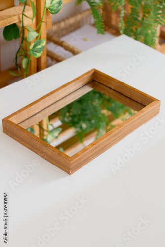 Plants reflected on mirror tray. Aesthetic minimalist composition.