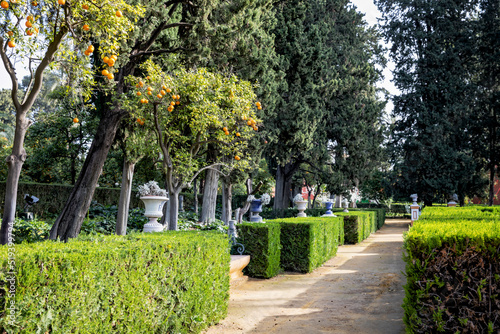 Fototapeta Naklejka Na Ścianę i Meble -  Beautiful formal public garden inside Alcazar Seville palace in summertime in Andalusia