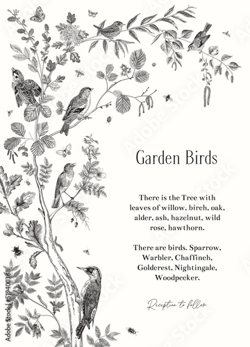 Garden Birds. Invitation. Vector vintage illustration. Black and white