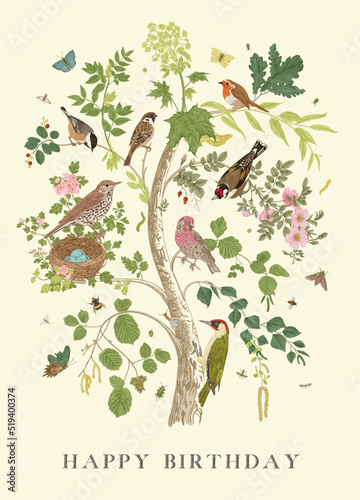Garden Birds. Happy Birthday. Tree. Vector vintage illustration.