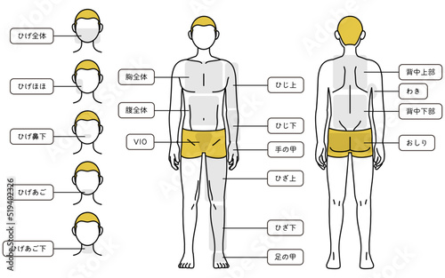 メンズ脱毛、全身（前と後ろ）と顔の部位案内、下着着用