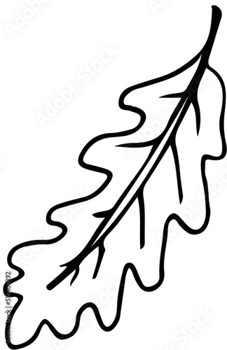 Polskie drzewa liściaste line art liść dąb