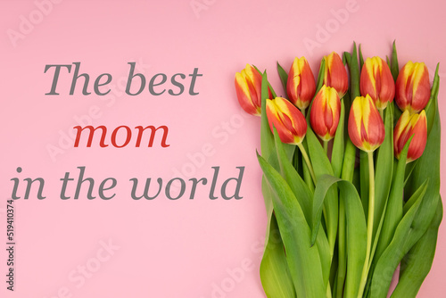 Red-yellow tulips on a pink background and the text BEST MOTHER IN THE WORLD. Concept holiday, congratulations, gratitude, postcard, banner, mocap. High quality photo
