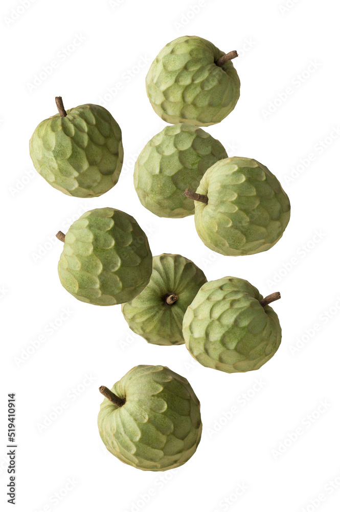Fototapeta premium cherimoya, annona cherimoya, cone shaped edible fruit also known as custard apple or sugar apple, sweet taste tropical fruit falling on white background
