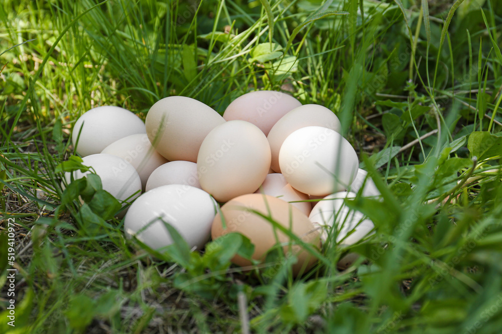 Pile of fresh raw eggs on green grass outdoors Pile of fresh raw eggs on green grass outdoors