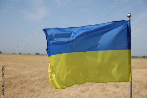 National flag of Ukraine in wheat field against blue sky, closeup