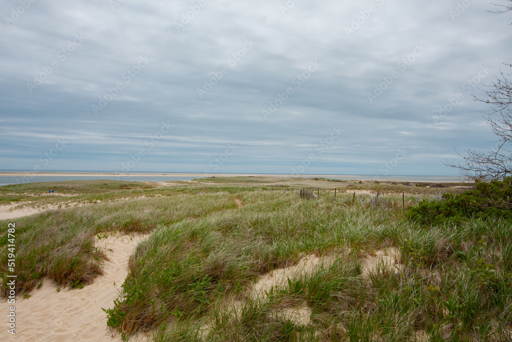 Beach Shrubs In The Wind Under Cloudy Sky And Sandy Path