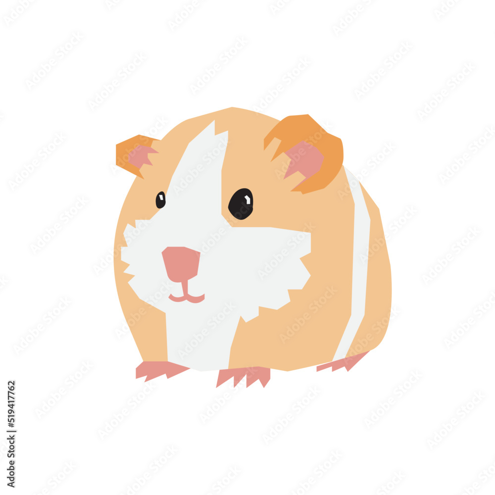 Hamster Background Very Cool Hamster Background Very Cool