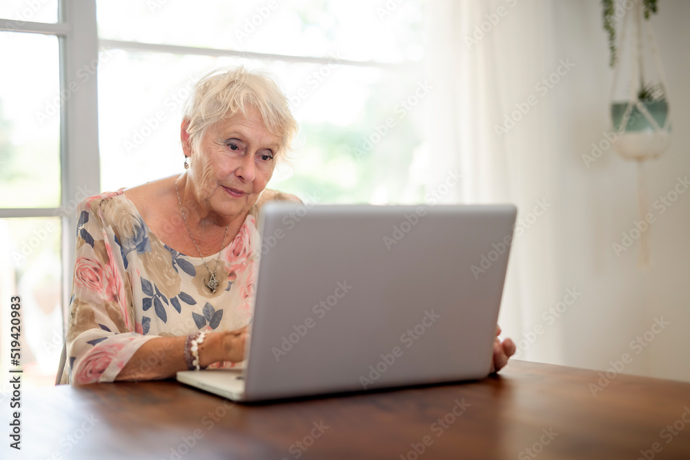 Portrait of elderly woman on her laptop. Seniors and technology concept. Portrait of elderly woman on her laptop. Seniors and technology concept.