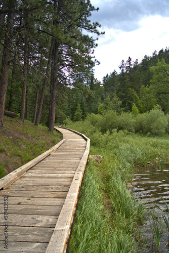 Black Hills of Western South Dakota