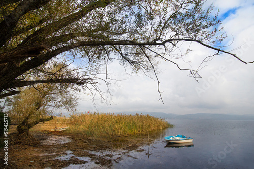Abandoned white blue painted boat on a lake with yellow reeds and sheltered with a dried tree in autumn cloudy weather, Lake Sapanca - Sakarya Turkey photo