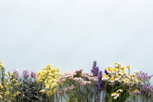 Herbal tea ingredients with various fresh herbs and flowers,  on pastel background, top view, frame. © gitusik