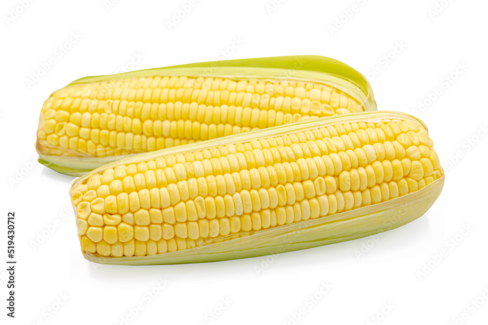 Corn isolated on white background with clipping path Corn isolated on white background with clipping path