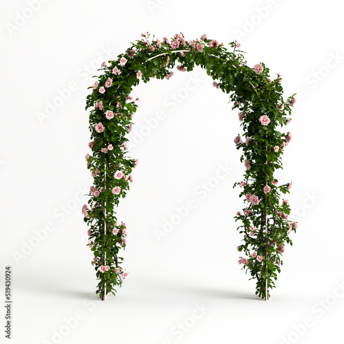 Fotografiet 3d illustration of arch flowers isolated on white background