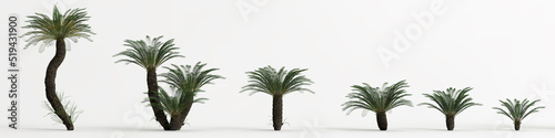 3d illustration of set plant isolated on white background photo