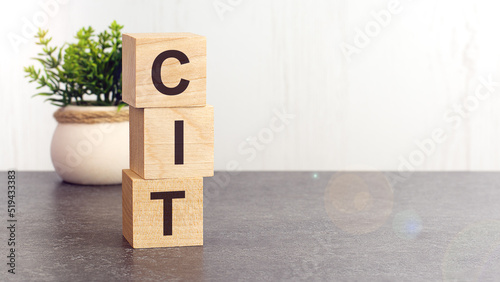 text CIT on wooden dice standing on top of each other © Maks_Lab